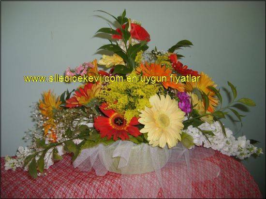  Şileye Çiçek Göndermek İstediğinizde Bulabileceğiniz En Uygun Fiyatlarda Ki Tek Çiçekçi Firmasıyız.