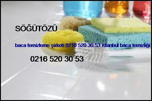  Söğütözü Baca Temizleme Şirketi 0216 520 30 53 İstanbul Baca Temizliği Söğütözü