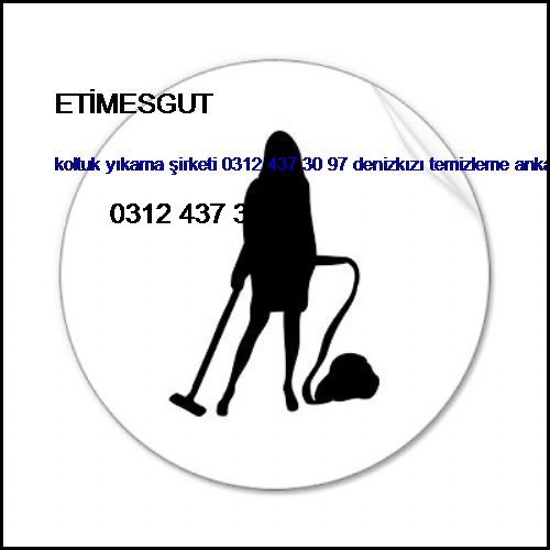  Etimesgut Koltuk Yıkama Şirketi 0312 437 30 97 Denizkızı Temizleme Ankara Koltuk Yıkama Şirketi Etimesgut