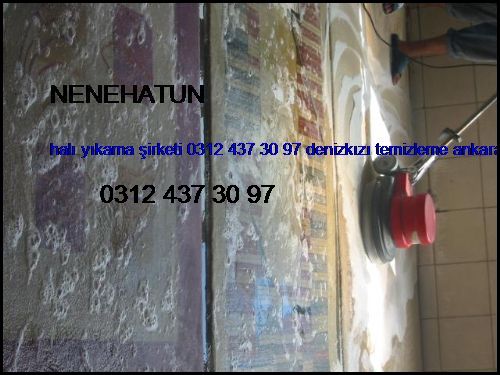  Nenehatun Halı Yıkama Şirketi 0312 437 30 97 Denizkızı Temizleme Ankara Halı Yıkama Şirketi Nenehatun